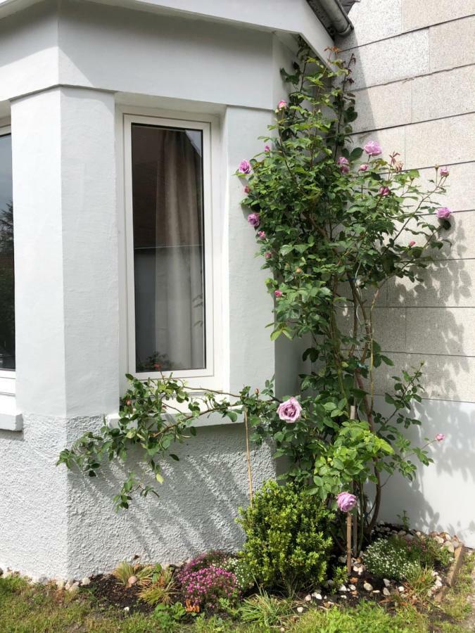 스프링게 Gestorfer Koetnerhof Business Und Landlust 아파트 외부 사진